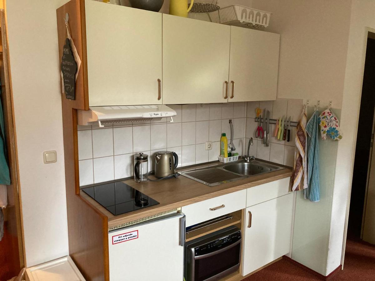 Apartman Viki Apartment Philippsreut Exterior photo