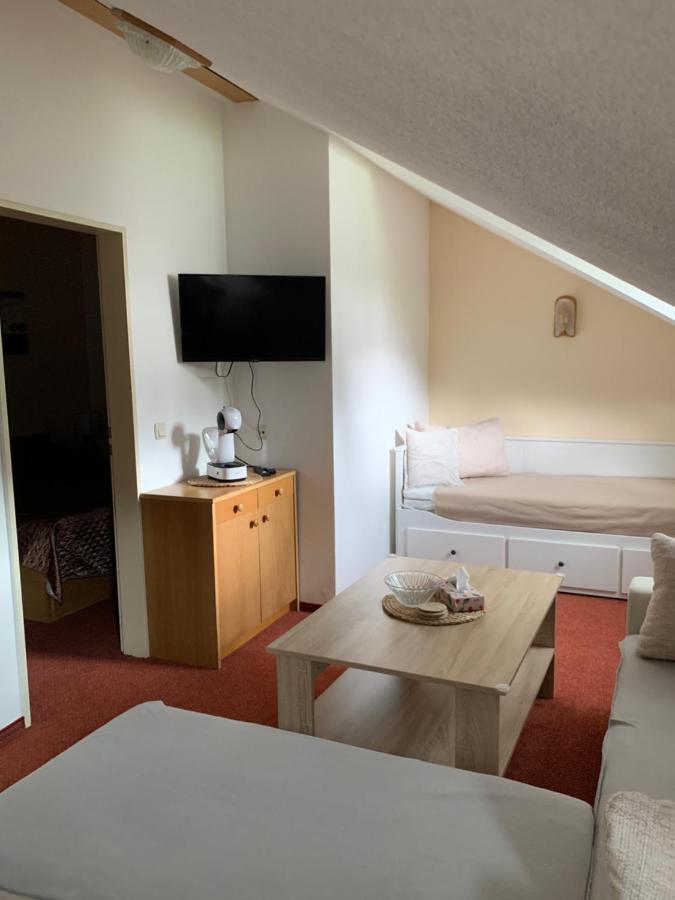 Apartman Viki Apartment Philippsreut Exterior photo